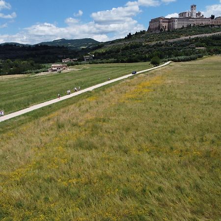 Agriturismo Molinella Assisi Kültér fotó