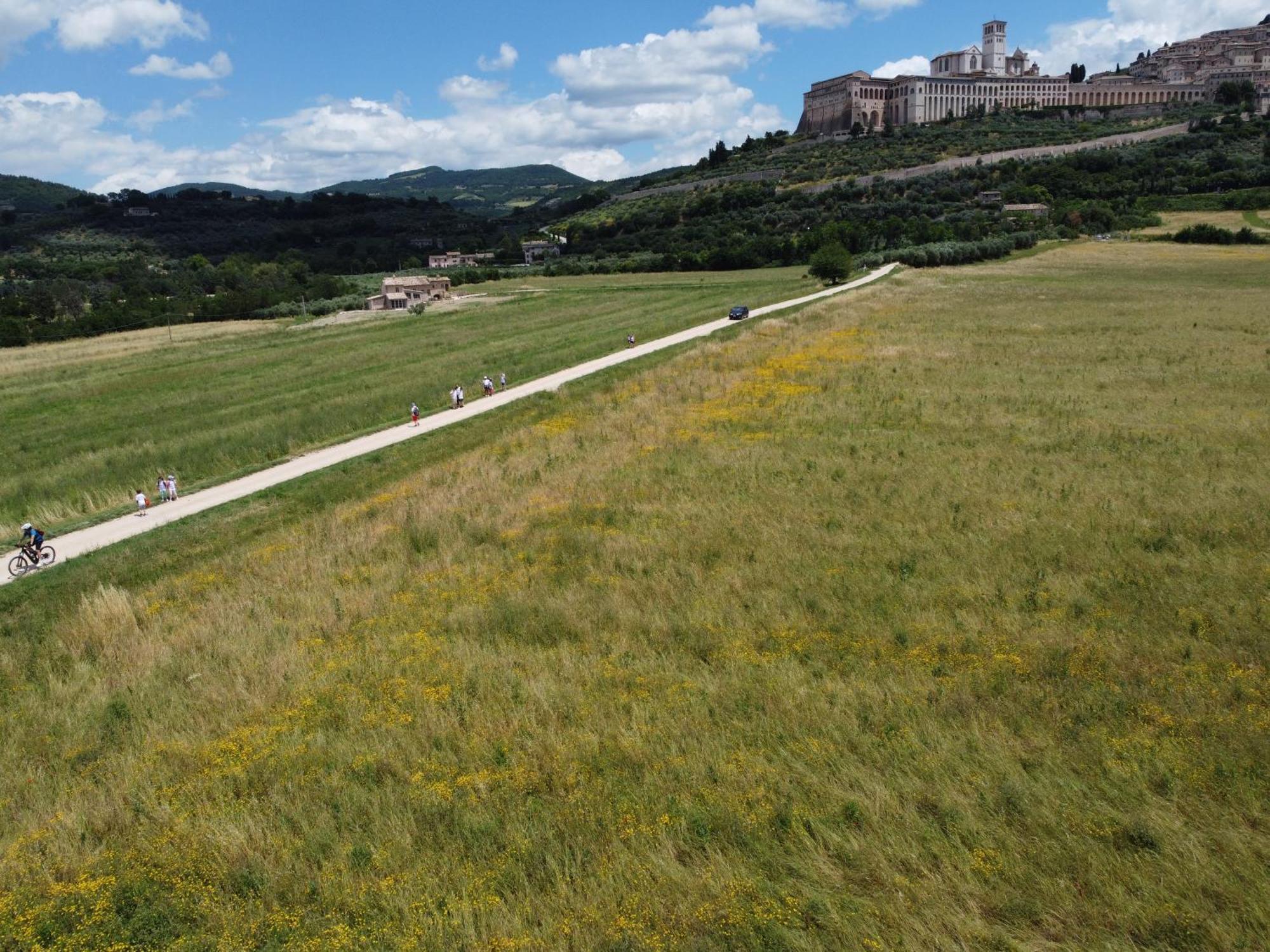 Agriturismo Molinella Assisi Kültér fotó